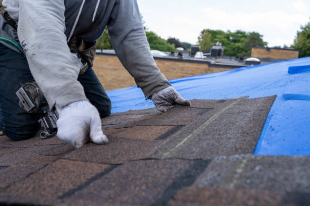 Best Roof Ventilation Installation  in Monte Vista, CO