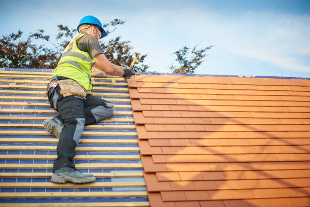 Best Metal Roofing Installation  in Monte Vista, CO